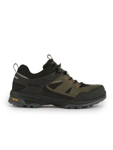 Niskie buty turystyczne Regatta Regen Low