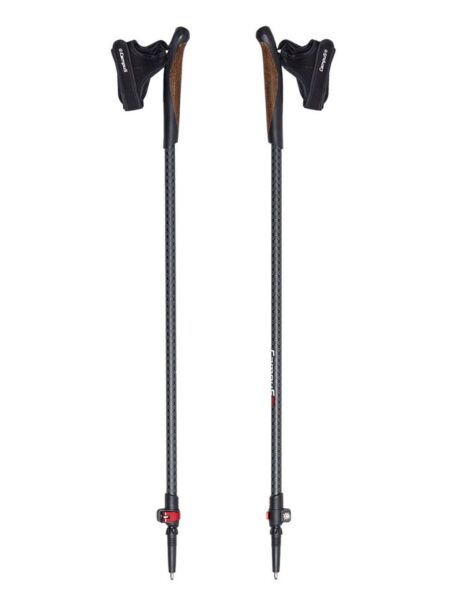 Regulowane kije do nordic walking