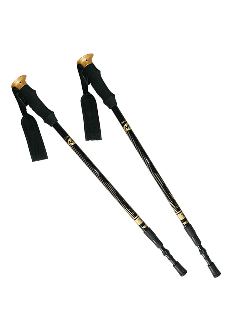 Uniwersalne kijki Nils NW-TK19 trekking/nordic walking