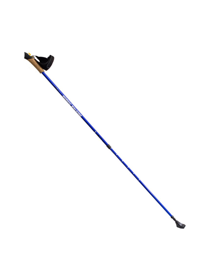 Niebieskie kijki Nordic Walking Nils NW607
