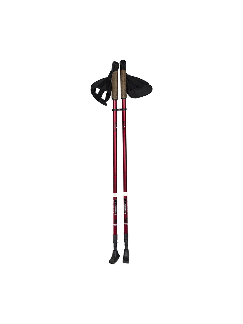 Kije do nordic walking Nils NW802