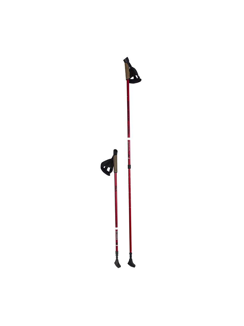 Kije do nordic walking Nils NW802