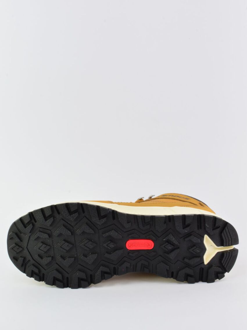 Buty Campus Rosa kolor Camel