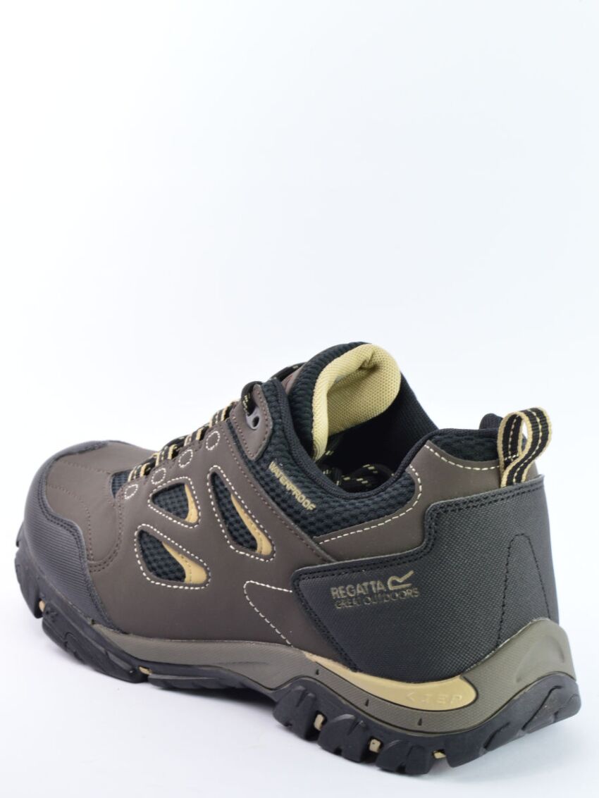 Buty męskie niskie Regatta Holcombe IEP