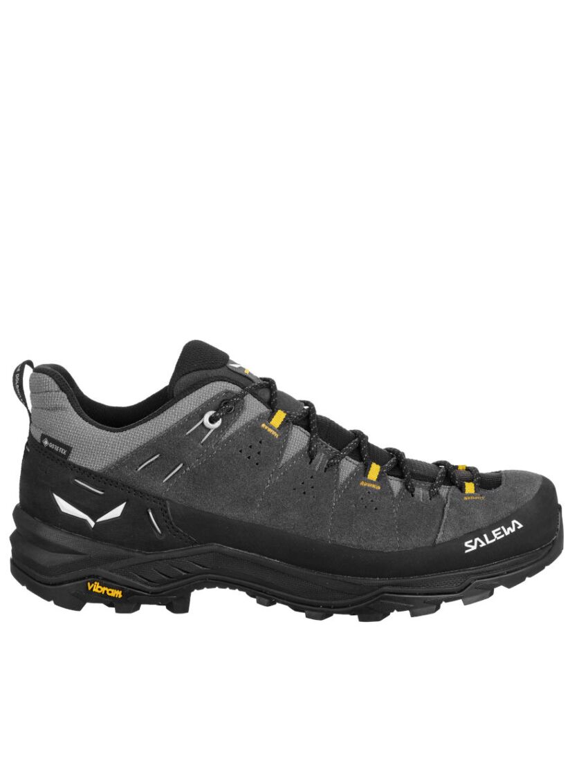 Buty turystyczne Salewa Low Alp Trainer GTX 