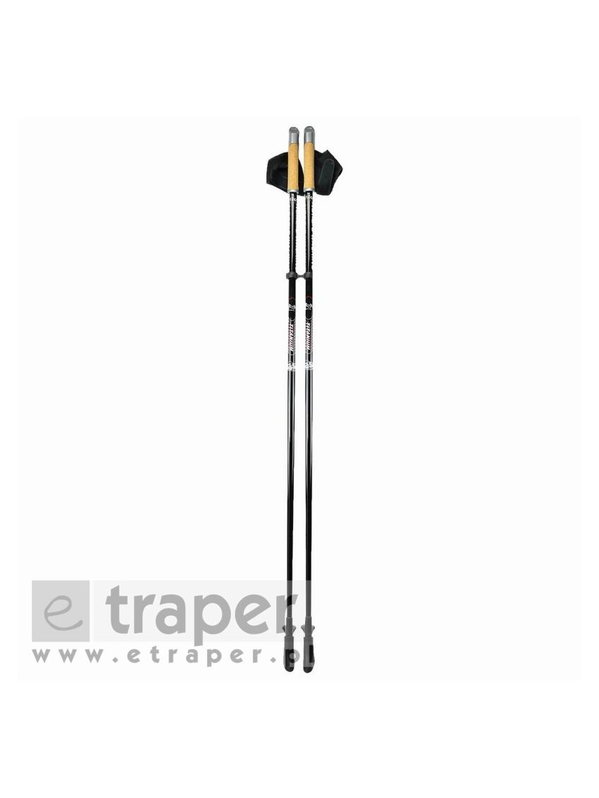 Kije nordic walking Titanium Sportech