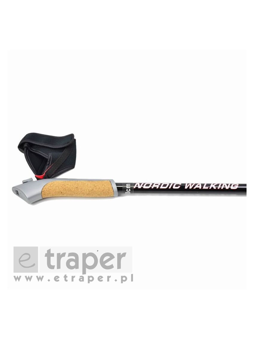 Kije nordic walking Titanium Sportech