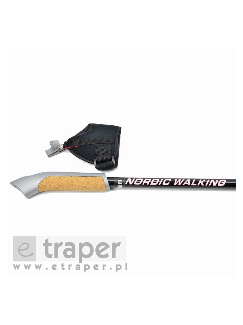 Kije nordic walking Titanium Sportech