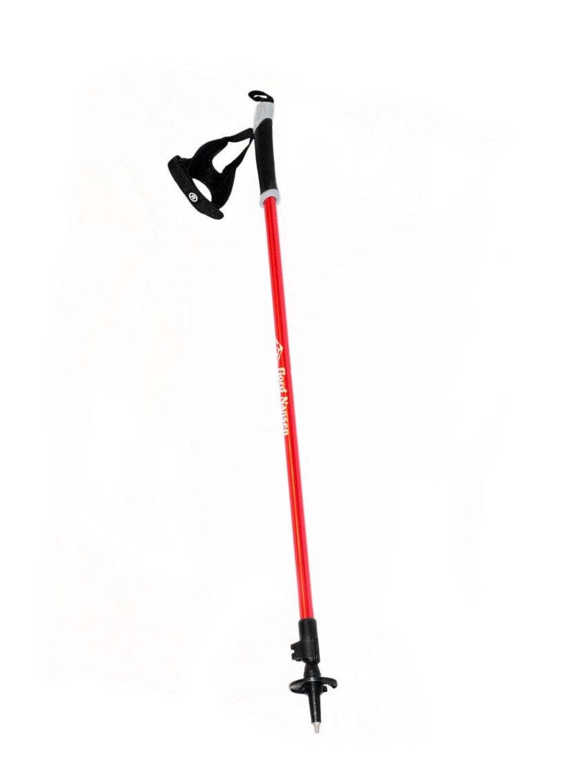 Kije nordic walking Fjord Nansen Nordic Pro II