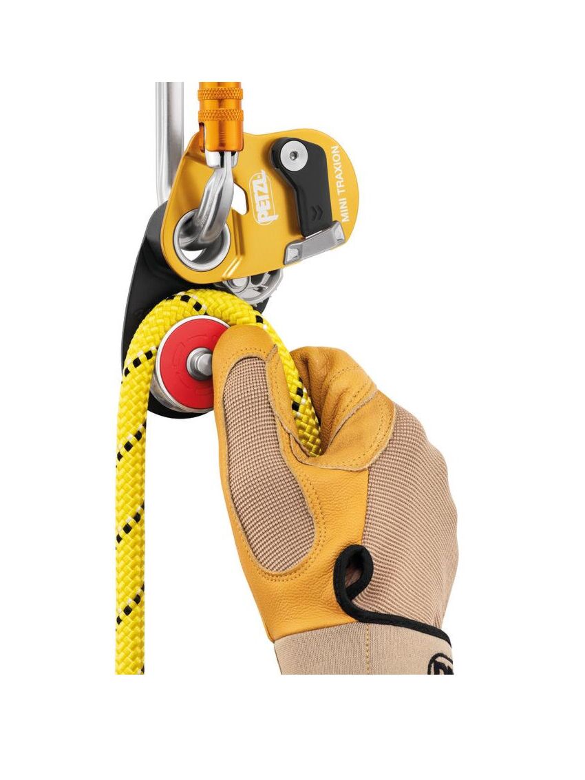Bloczek z blokadą Petzl Mini Traxion