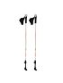 Kije Nils Nordic Walking Carbon NW106 