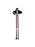 Kije do nordic walking Nils NW802