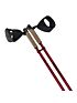 Kije do nordic walking Nils NW802