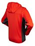Bluza sportowa Bergson Act Men z kapturem