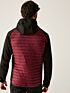Bluza sportowa hybrydowa Regatta Andreson VII