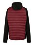 Bluza sportowa hybrydowa Regatta Andreson VII