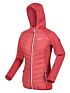 Hybrydowa bluza sportowa Regatta Andreson VIII