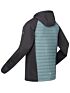 Pikowana bluza hybrydowa Regatta Andreson VII