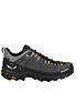 Buty turystyczne Salewa Low Alp Trainer GTX 