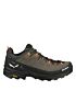 Buty turystyczne Salewa Low Alp Trainer 2