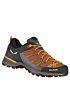 Buty niskie Salewa Trainer Lite