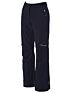 Damskie spodnie narciarskie Dare 2B Figure In
