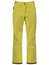Damskie spodnie narciarskie Dare 2B Stand For