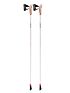 Kije jednosekcyjne Nordic Walking Leki Passion