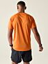 Sportowa koszulka Orange Dare 2b Accelerate