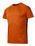 Sportowa koszulka Orange Dare 2b Accelerate