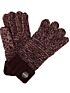Zimowe rękawiczki Regatta Frosty Gloves