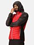 Bluza hybrydowa Regatta Andreson V