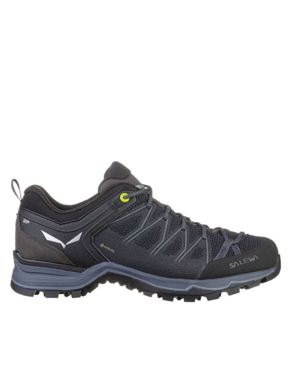 Wygodne buty wodoodporne Salewa Trainer Lite GTX
