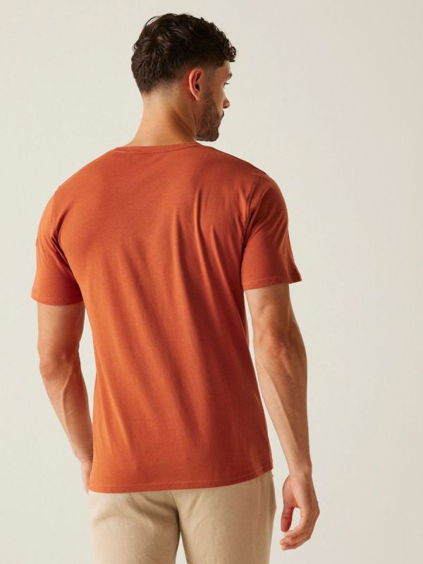 Męska koszulka bawełniana z nadrukiem Regatta Cline VII