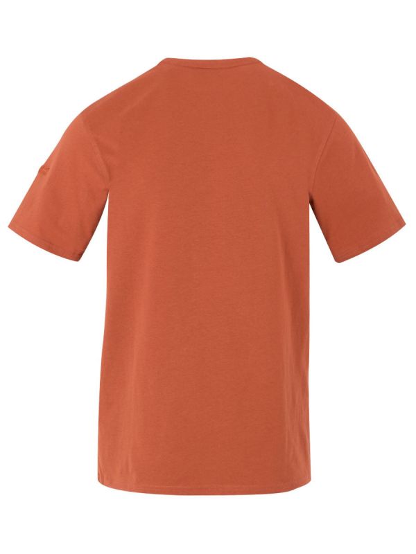 Męska koszulka bawełniana z nadrukiem Regatta Cline VII