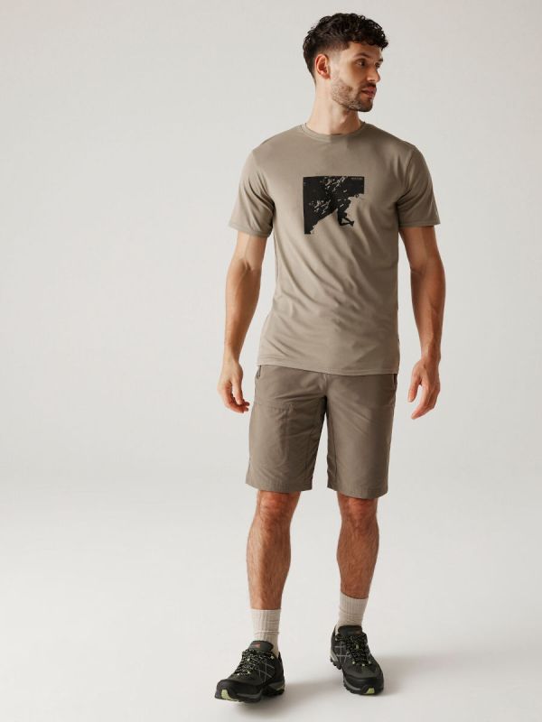 Szary t-shirt męski Regatta Fingal Szybkoschnący