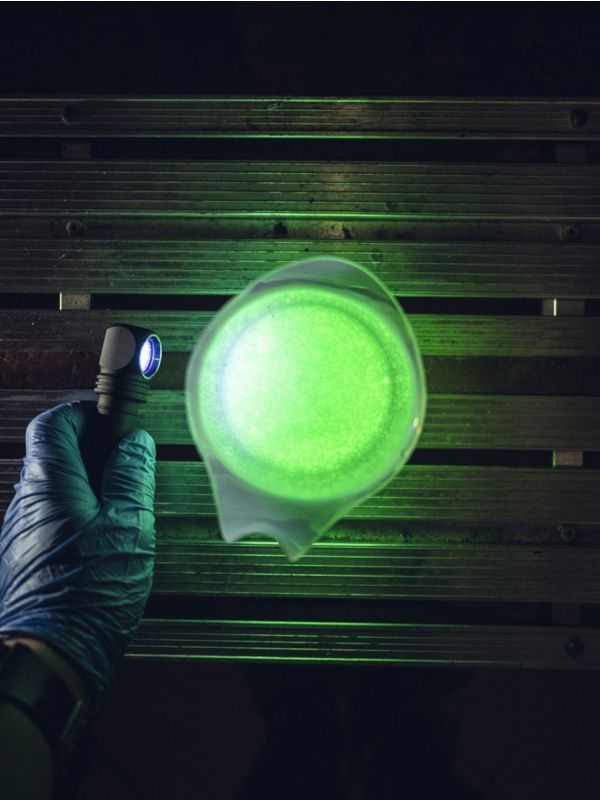 Latarka LED z Ultrafioletem Armytek Wizard C2 WUV