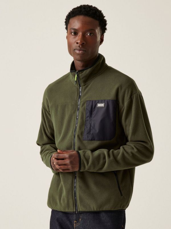 Męski polar codzienny Regatta Frankie FZ