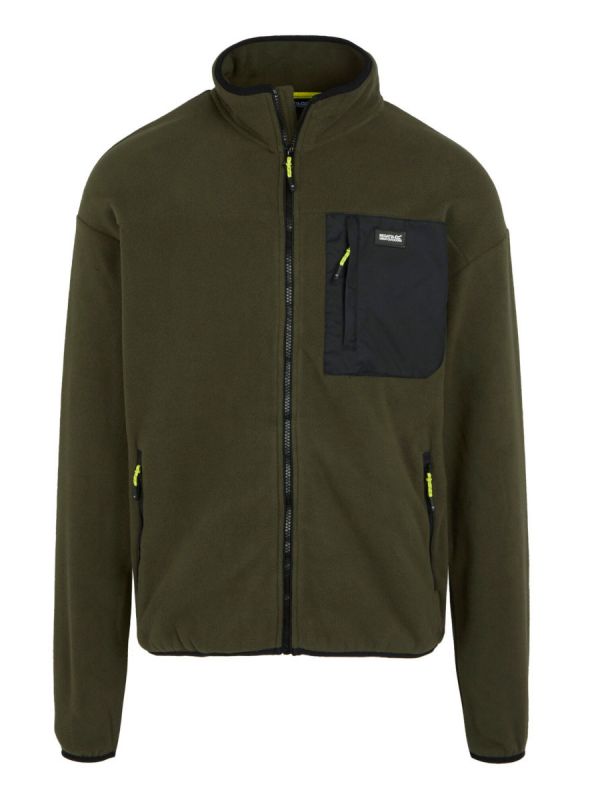 Męski polar codzienny Regatta Frankie FZ