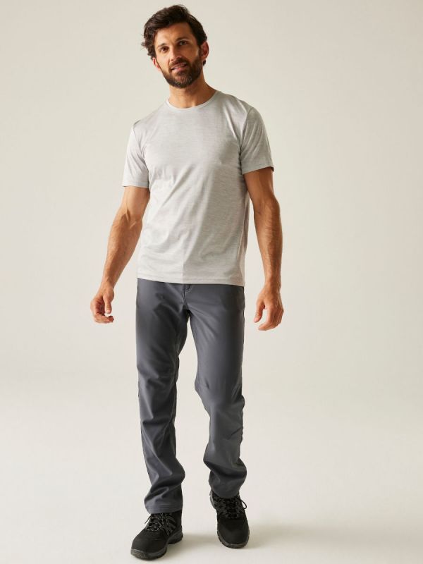 Męskie spodnie turystyczne Softshell Regatta Fenton