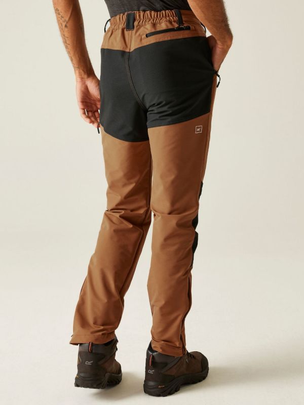 Męskie spodnie trekkingowe Regatta Questra III