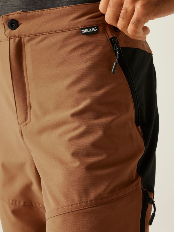 Męskie spodnie trekkingowe Regatta Questra III