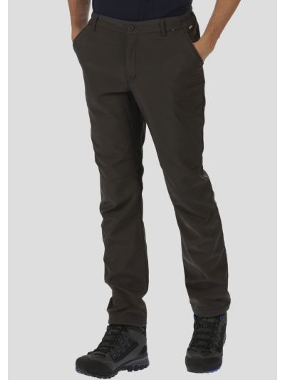 Męskie spodnie turystyczne Softshell Regatta Fenton