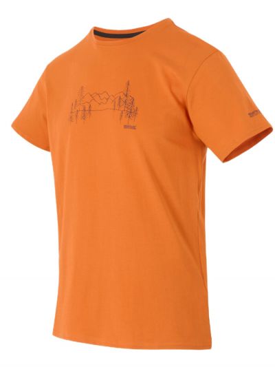 Męski t-shirt bawełniany Regatta Breezed 