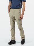 Spodnie męskie z odpinanymi nogawkami Regatta Highton