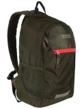 Wygodny plecak dla dzieci Regatta Jaxon 3 EK016