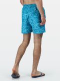 Regatta Mawson shorts
