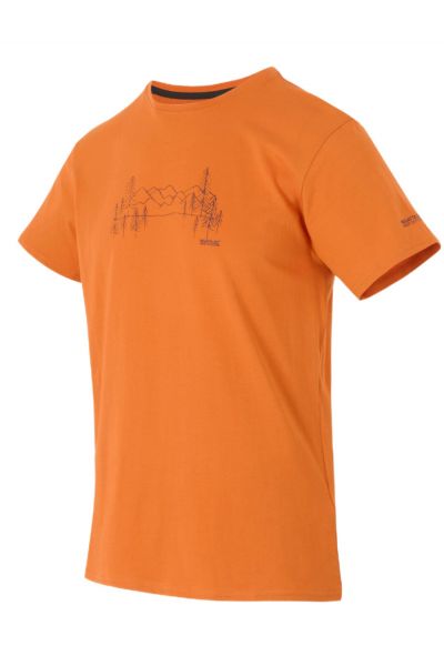 Męski t-shirt bawełniany Regatta Breezed 